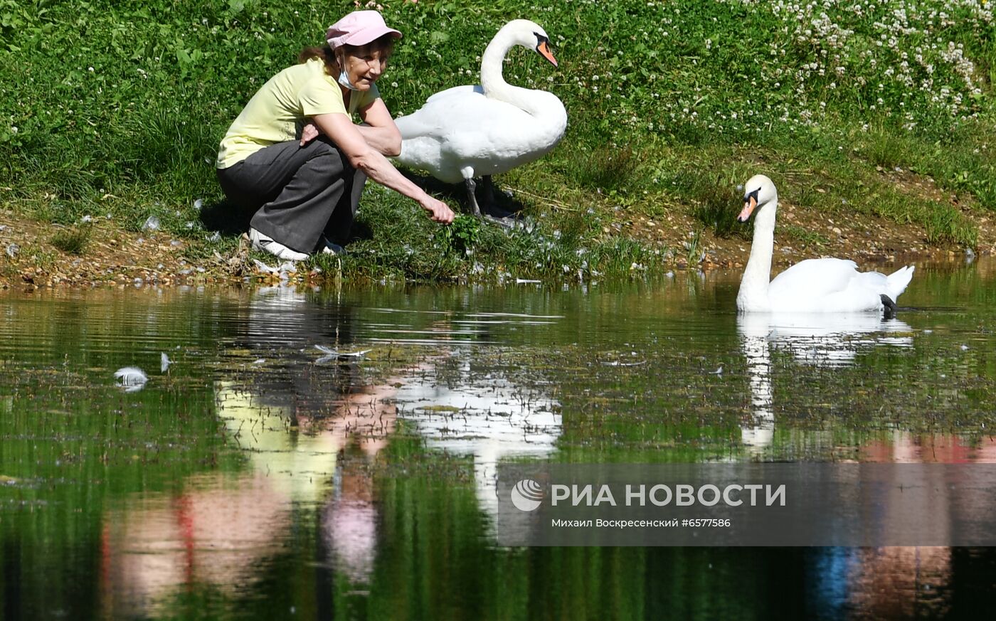 Жара в Москве