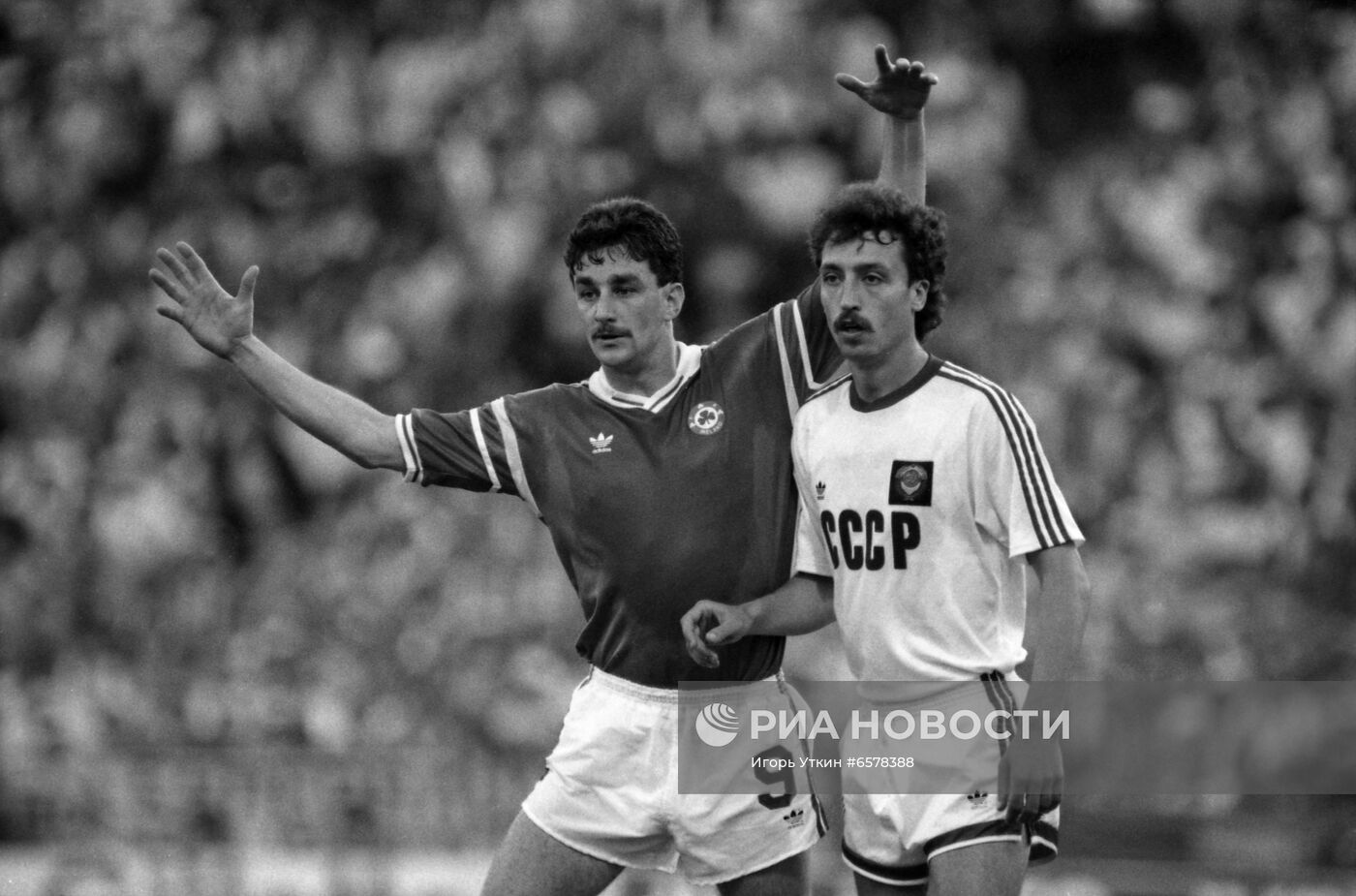 Чемпионат Европы по футболу 1988 года