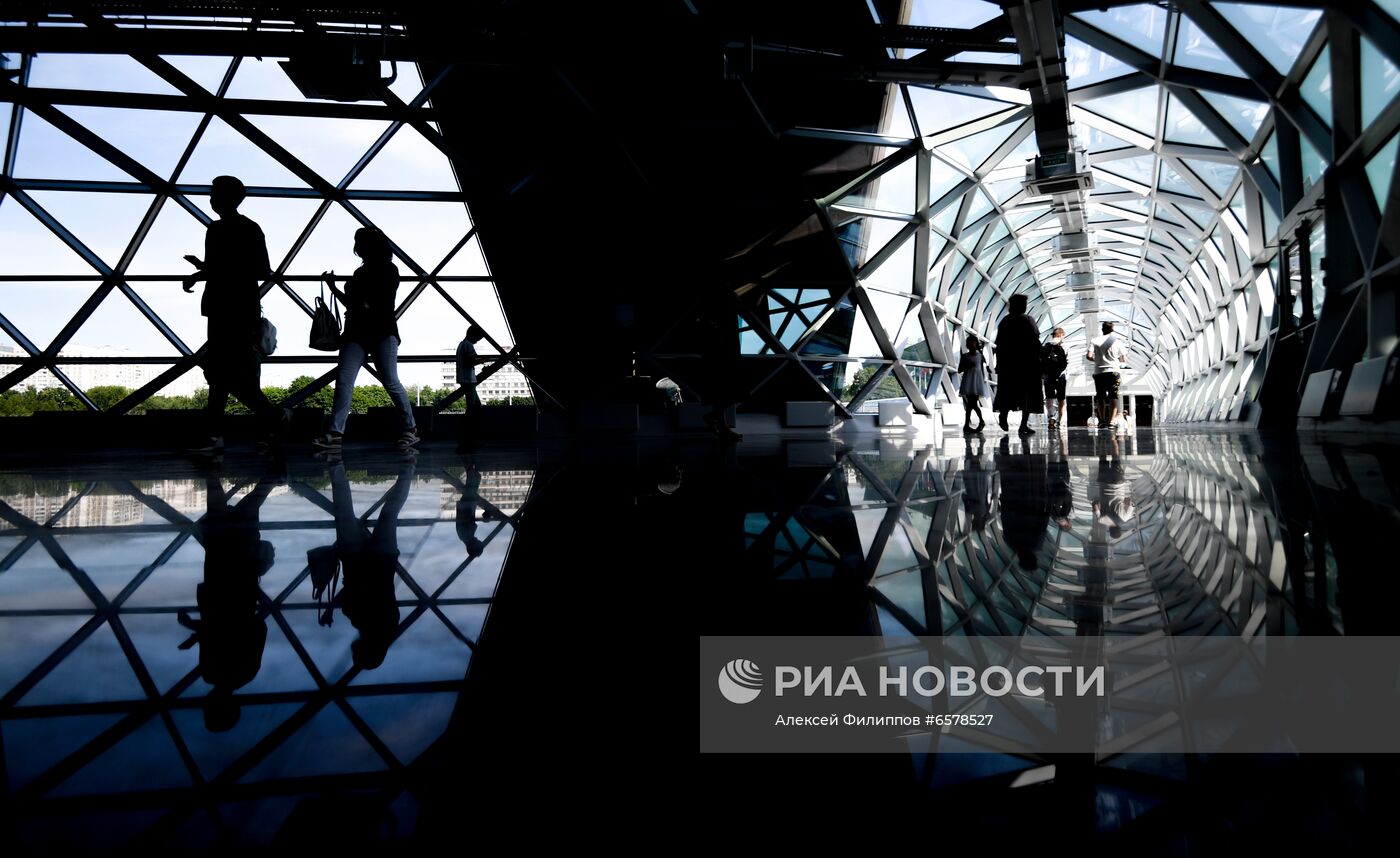 Фото недели