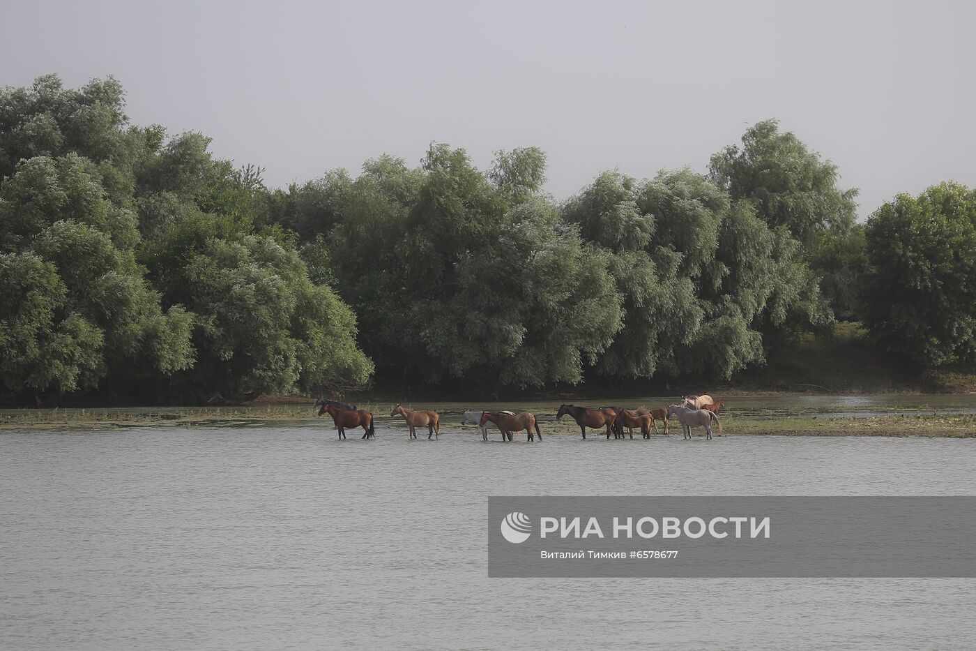 Пыльная буря в Краснодарском крае