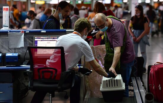 Возобновление авиасообщения между Россией и Турцией 