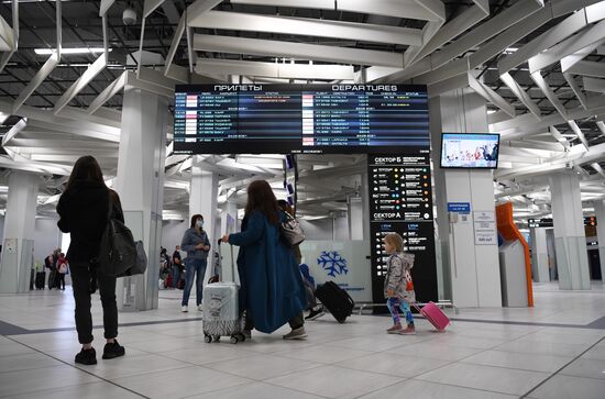 Возобновление авиасообщения между Россией и Турцией 