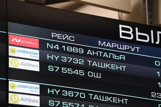 Возобновление авиасообщения между Россией и Турцией 