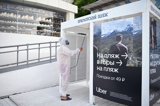 Дезинфекция улиц в Сочи