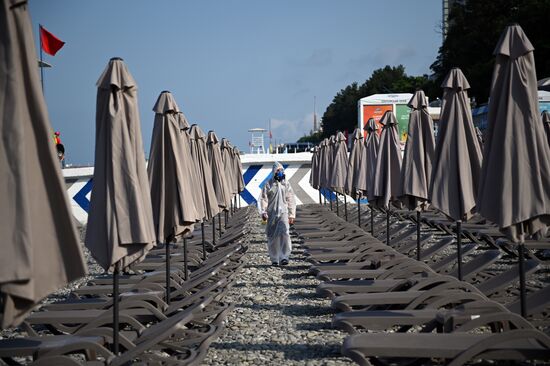 Дезинфекция улиц в Сочи