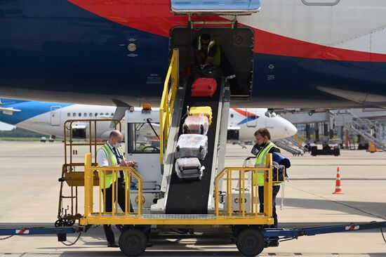 Возобновление авиасообщения между Россией и Турцией 