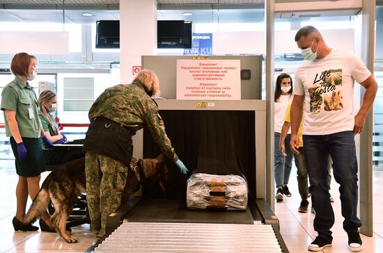 Возобновление авиасообщения между Россией и Турцией