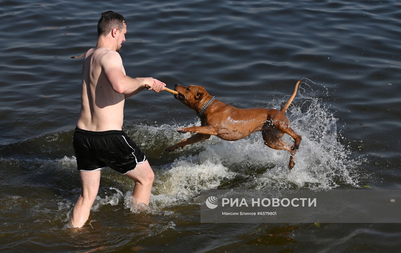 Жаркая погода в Москве