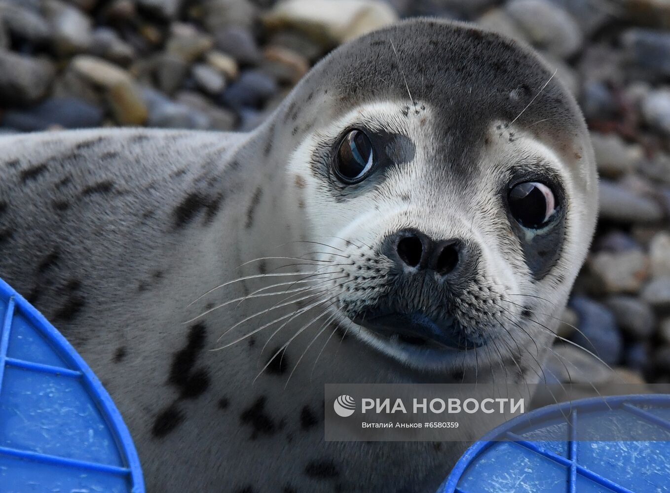 ФОТО МЕСЯЦА