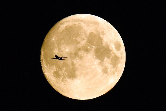 Фото недели