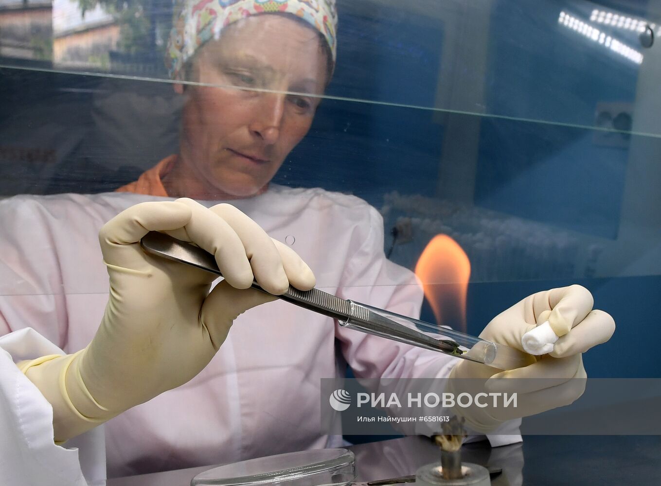 Работа научно-лабораторного комплекса оригинального семеноводства и выращивания суперэлитных категорий сортов картофеля