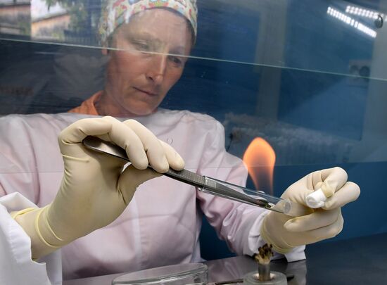 Работа научно-лабораторного комплекса оригинального семеноводства и выращивания суперэлитных категорий сортов картофеля