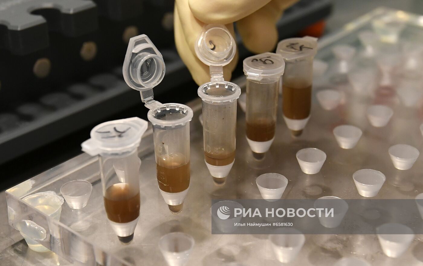 Работа научно-лабораторного комплекса оригинального семеноводства и выращивания суперэлитных категорий сортов картофеля