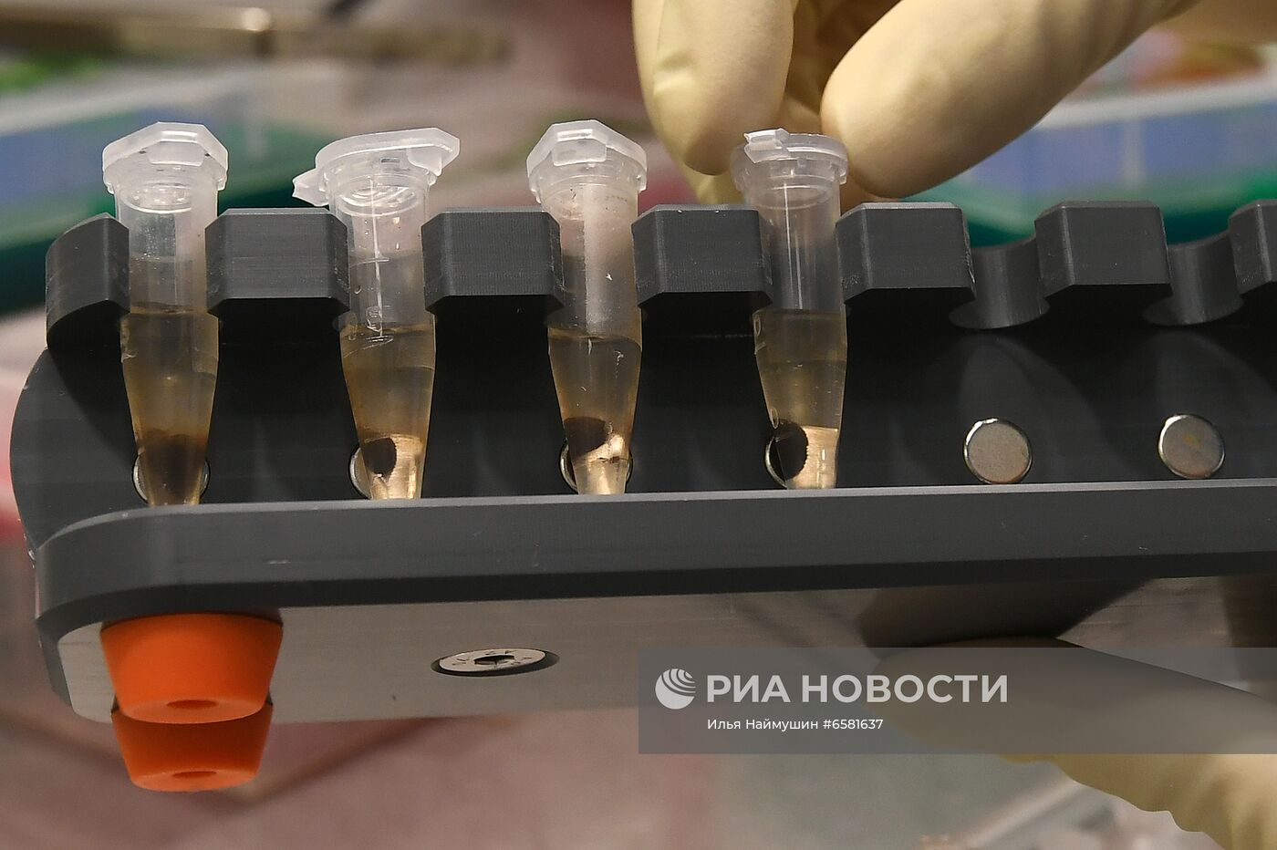 Работа научно-лабораторного комплекса оригинального семеноводства и выращивания суперэлитных категорий сортов картофеля