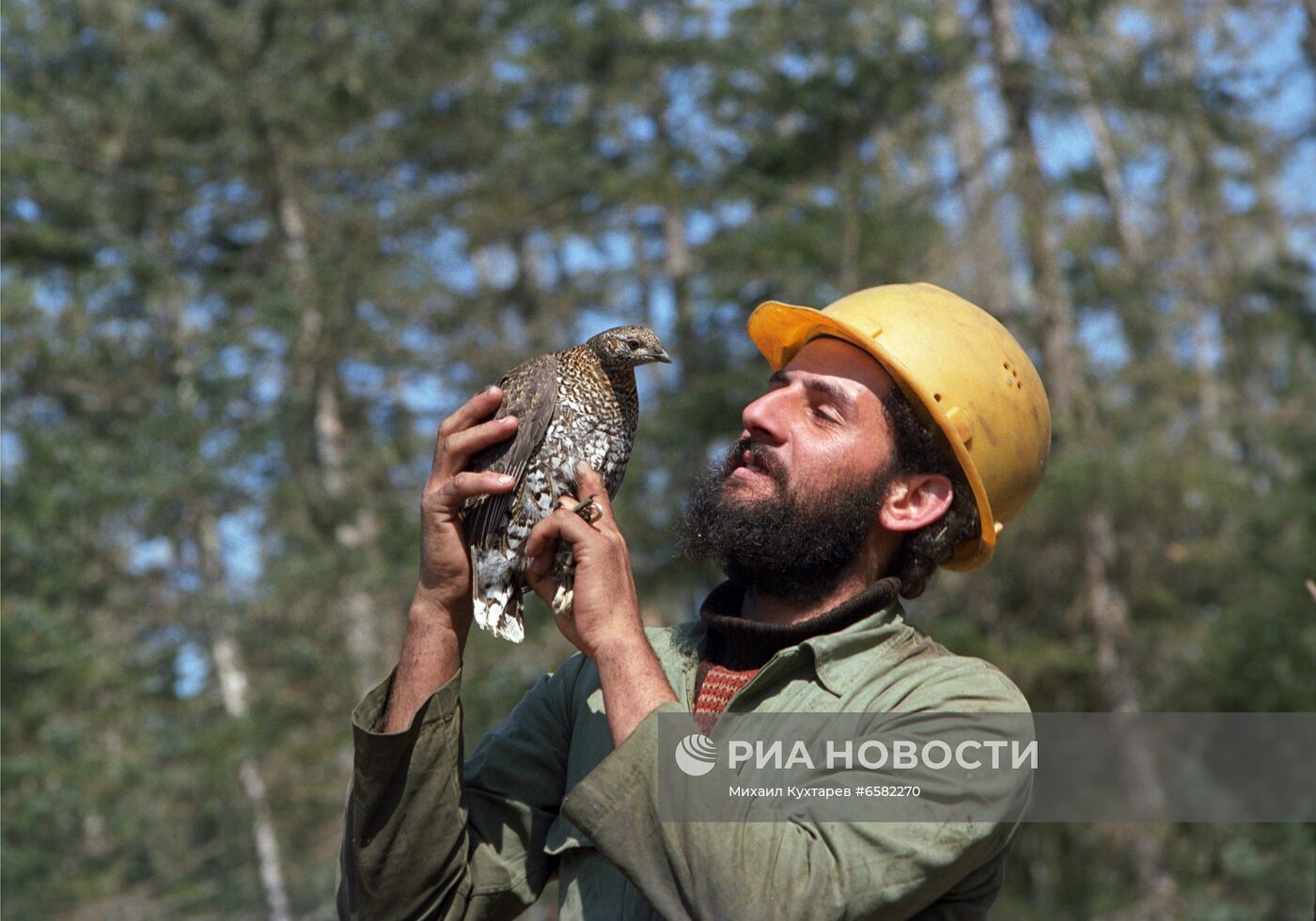 Советско-кубинское лесозаготовительное предприятие "Кубалес"