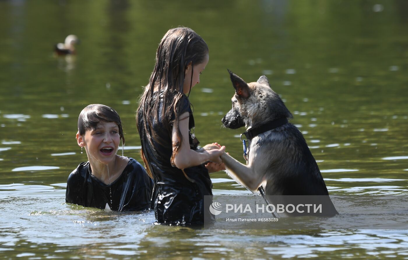 Жаркая погода