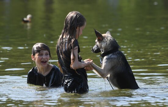 Жаркая погода