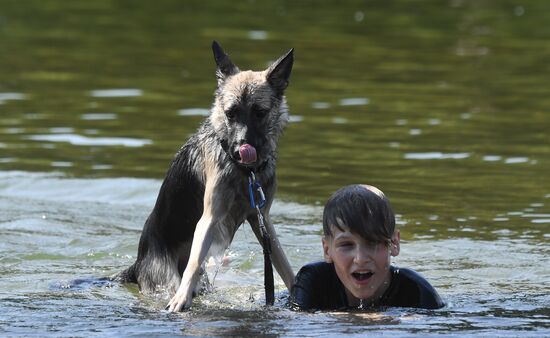 Жаркая погода