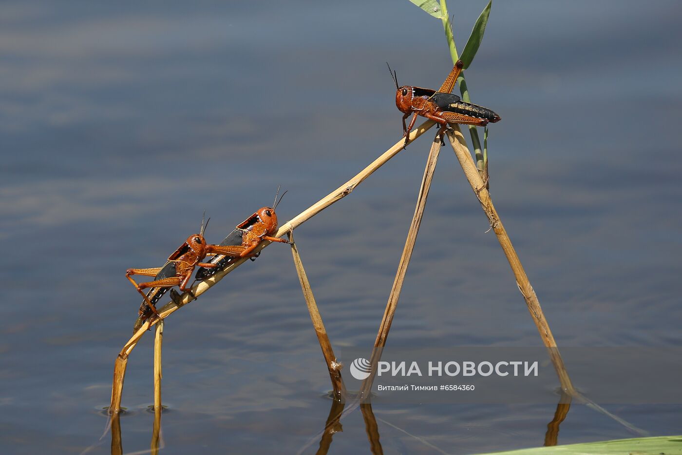 ФОТО МЕСЯЦА