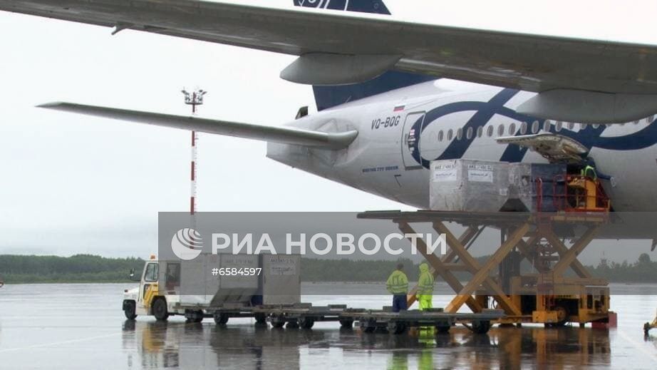 В Хабаровск поступила партия вакцины Спутник V