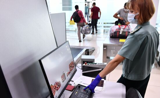 Работа погранично-таможенной службы в аэропорту "Кольцово"