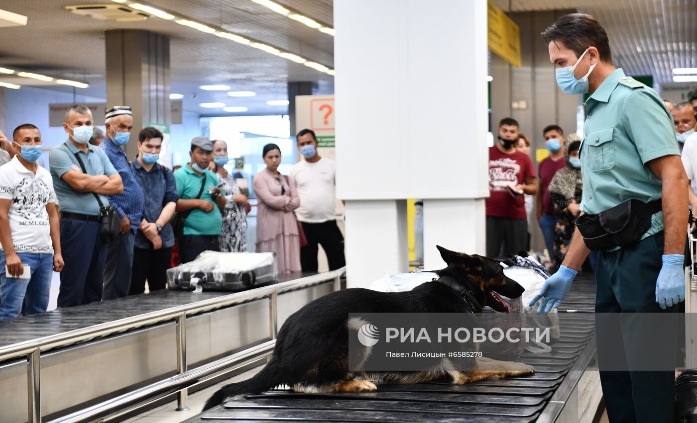 Работа погранично-таможенной службы в аэропорту "Кольцово"