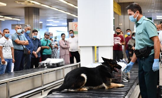 Работа погранично-таможенной службы в аэропорту "Кольцово"