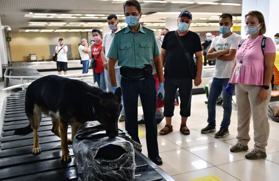 Работа погранично-таможенной службы в аэропорту "Кольцово"