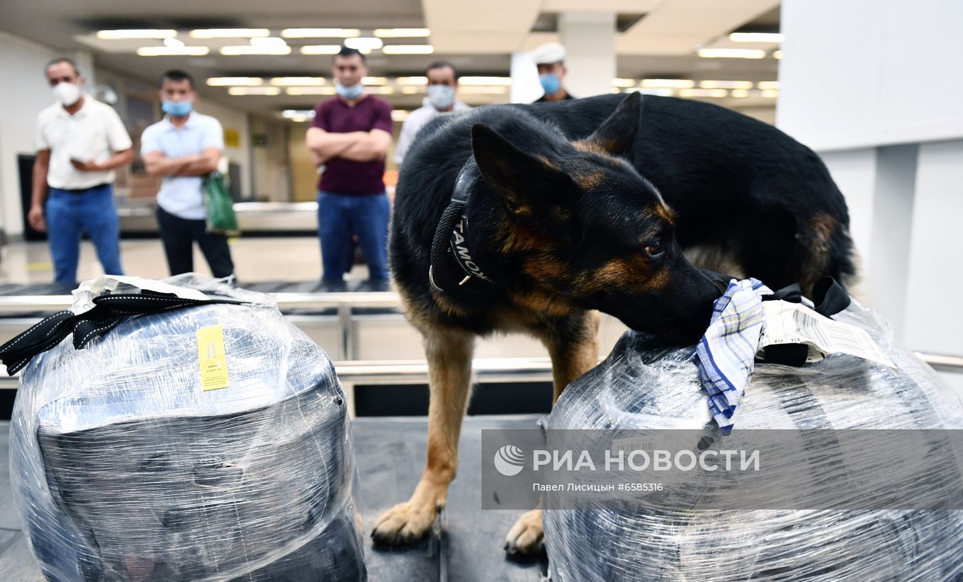 ФОТО НЕДЕЛИ
