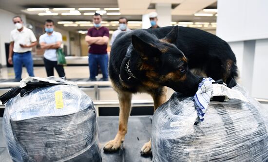 ФОТО НЕДЕЛИ