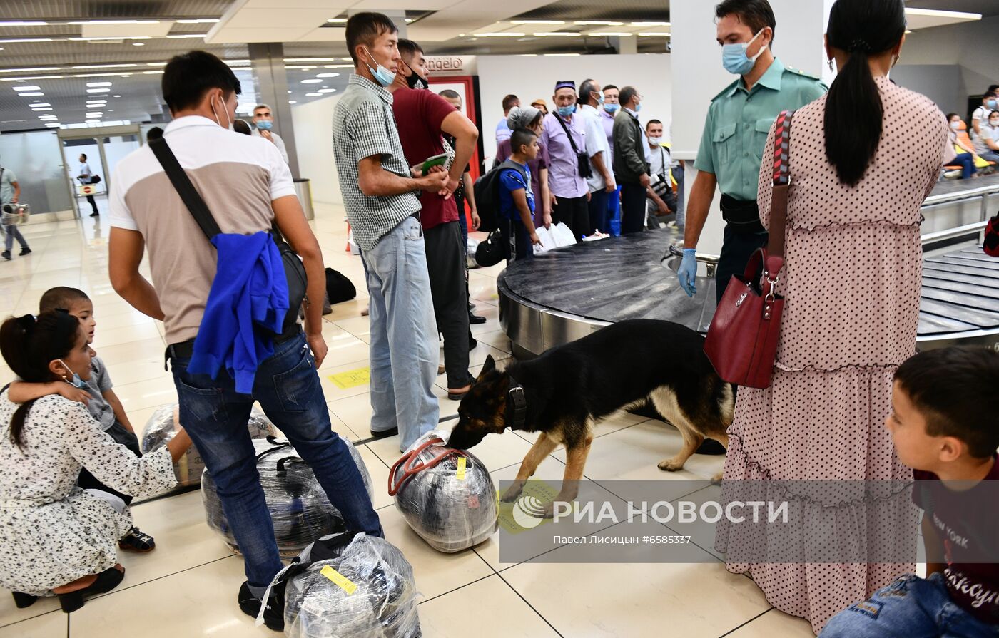 Работа погранично-таможенной службы в аэропорту "Кольцово"