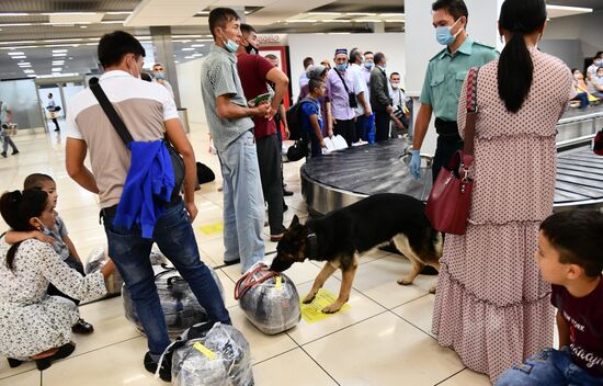 Работа погранично-таможенной службы в аэропорту "Кольцово"