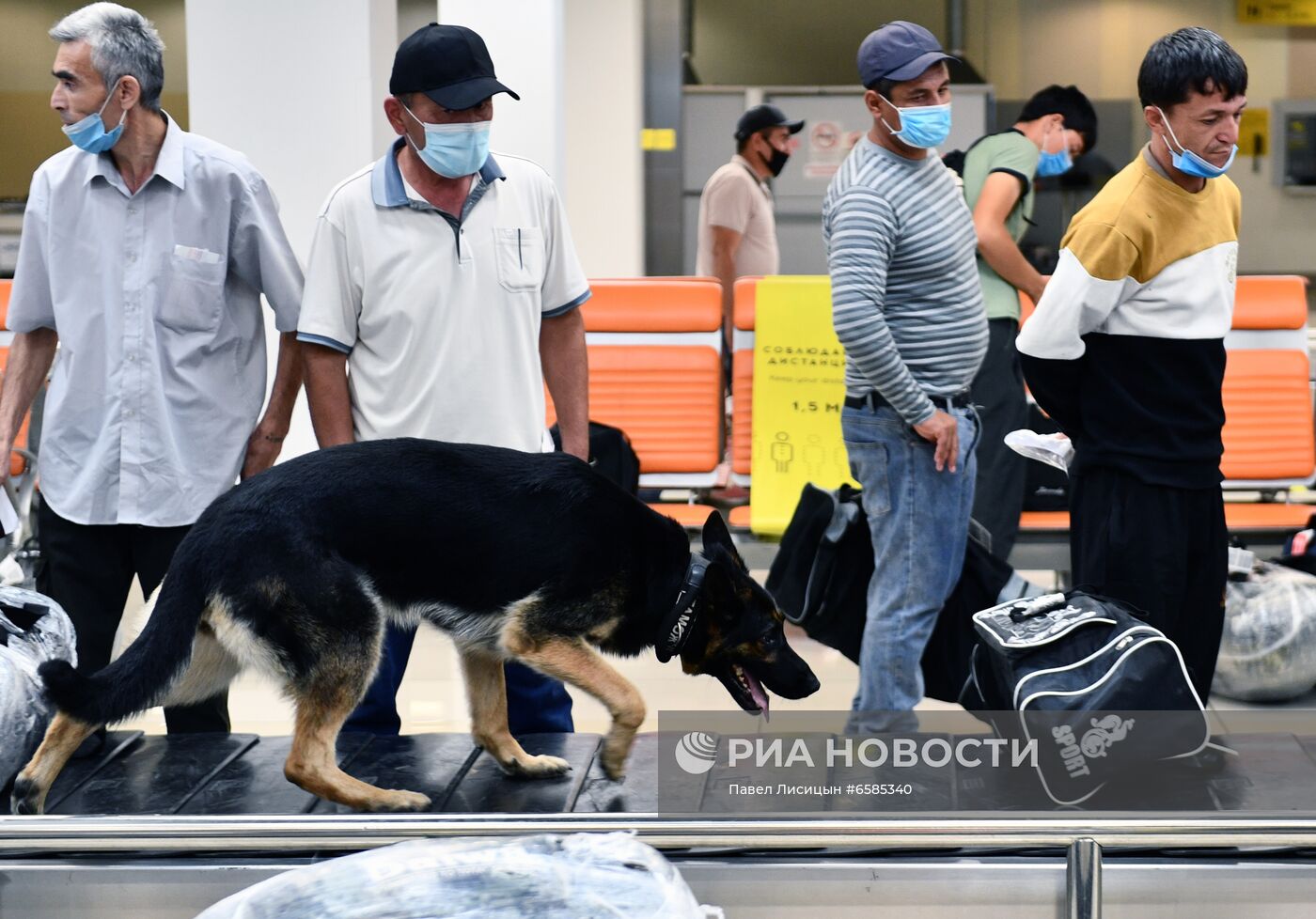 Работа погранично-таможенной службы в аэропорту "Кольцово"