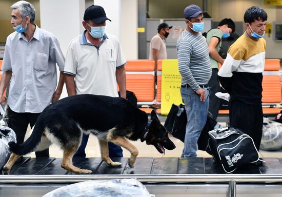 Работа погранично-таможенной службы в аэропорту "Кольцово"