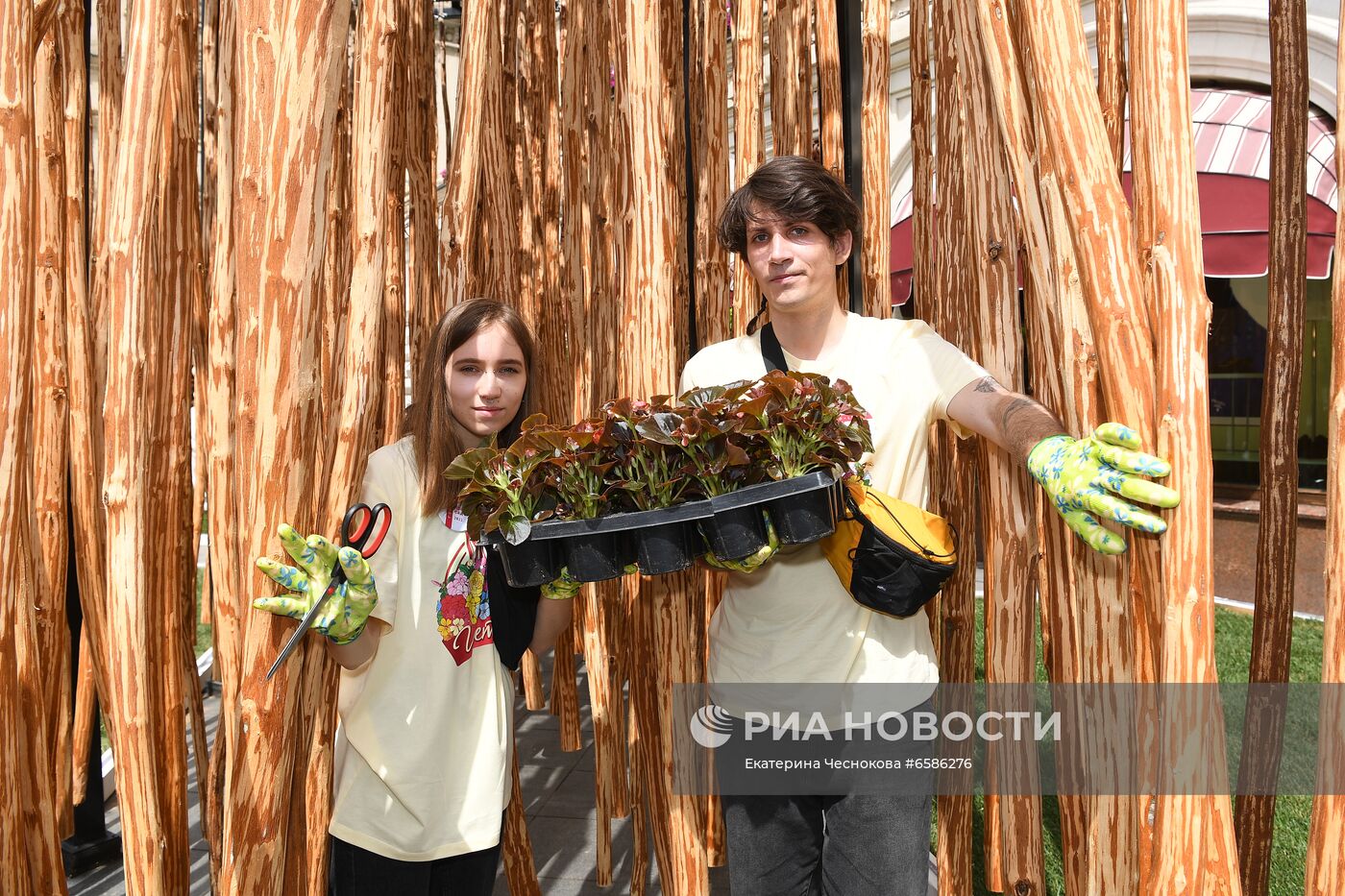 Фото недели