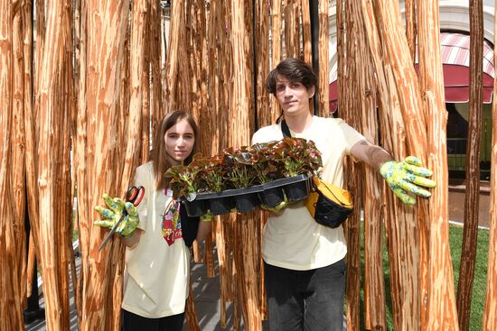 Фото недели