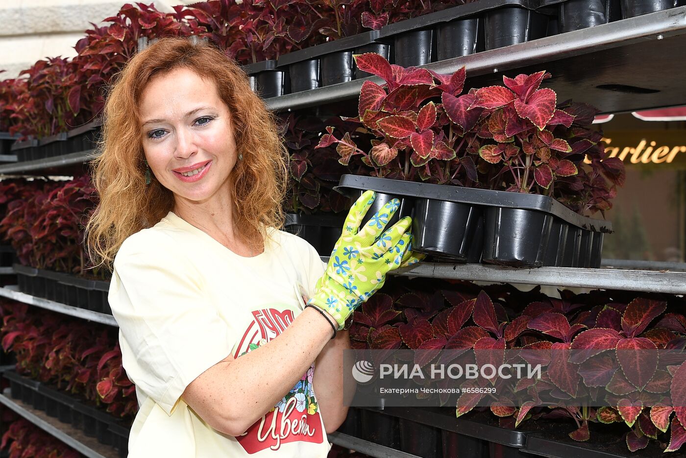 Выставка "Красный сад"