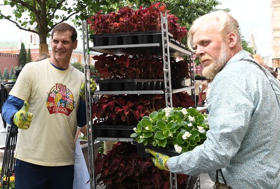 Выставка "Красный сад"