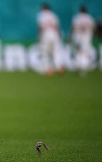 Футбол. ЧЕ-2020. Матч Швейцария - Испания