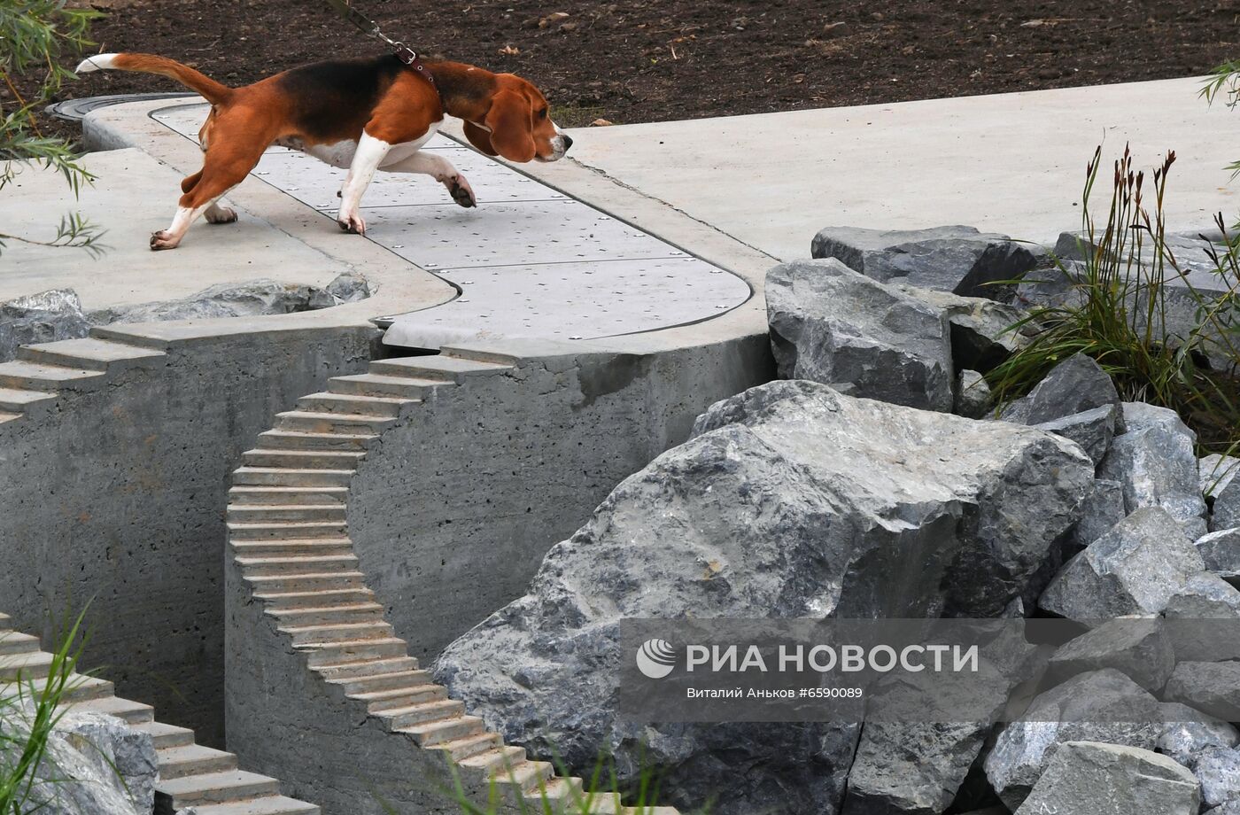 Открытие Нагорного парка во Владивостоке