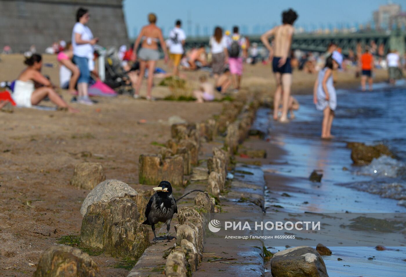 Жаркая погода в Санкт-Петербурге