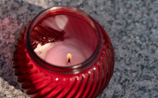 Цветы в память о погибших в авиакатастрофе на Камчатке