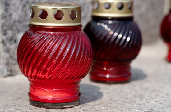 Цветы в память о погибших в авиакатастрофе на Камчатке