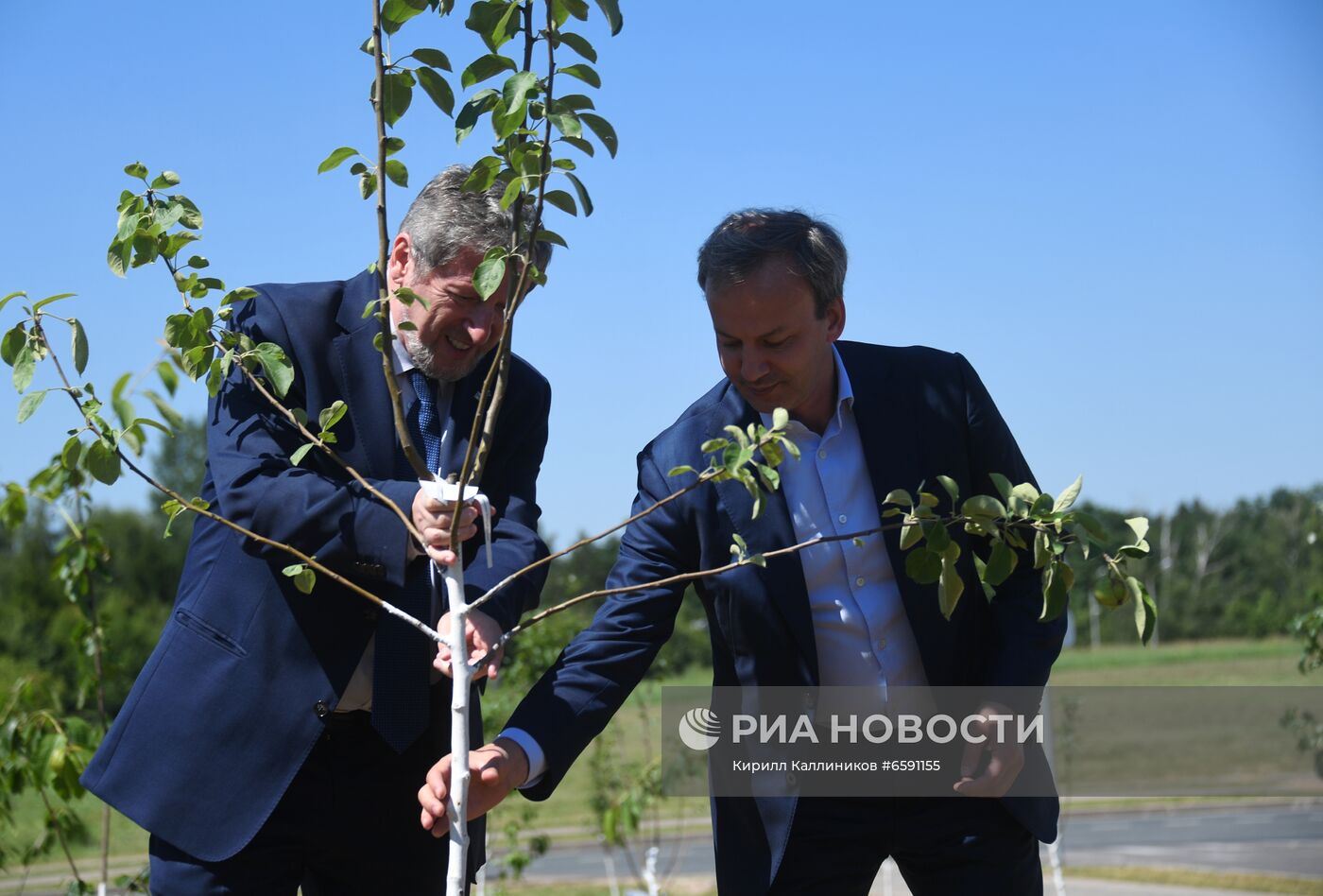 Закладка Аллеи Дружбы