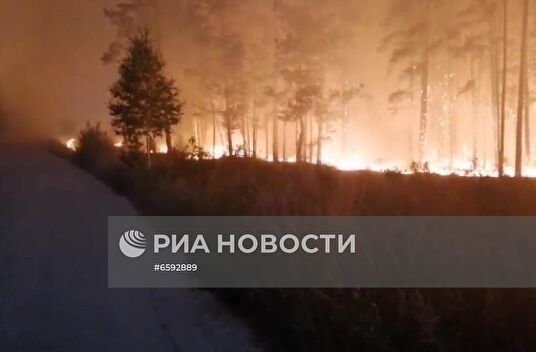 Лесные пожары в Челябинской области