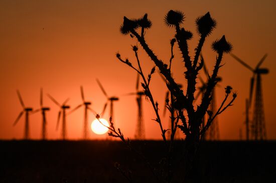 Мирновская ВЭС