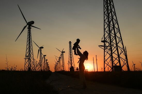 Мирновская ВЭС