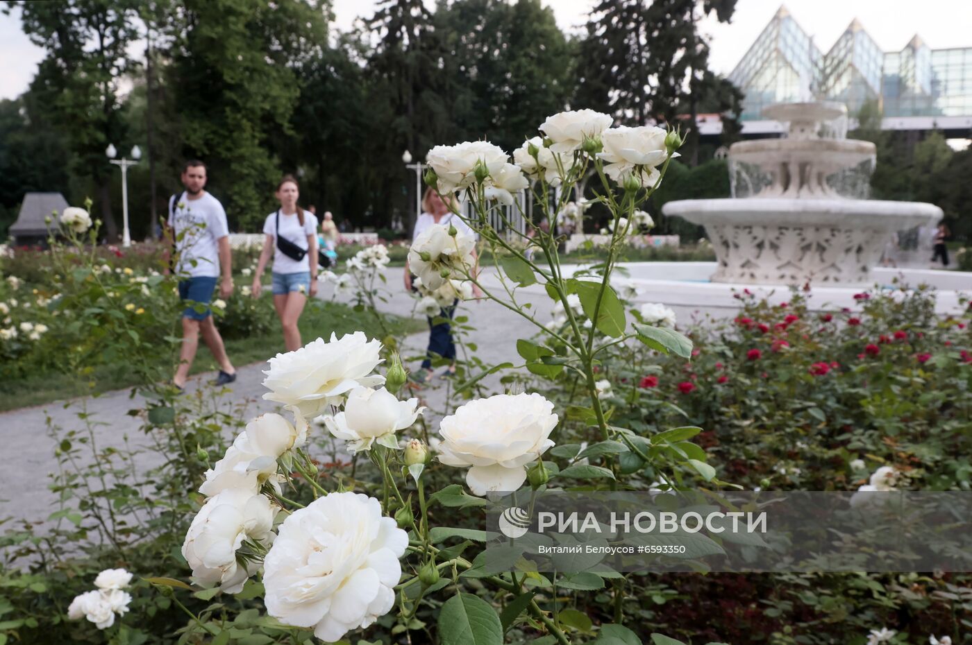 Отдых горожан в Москве