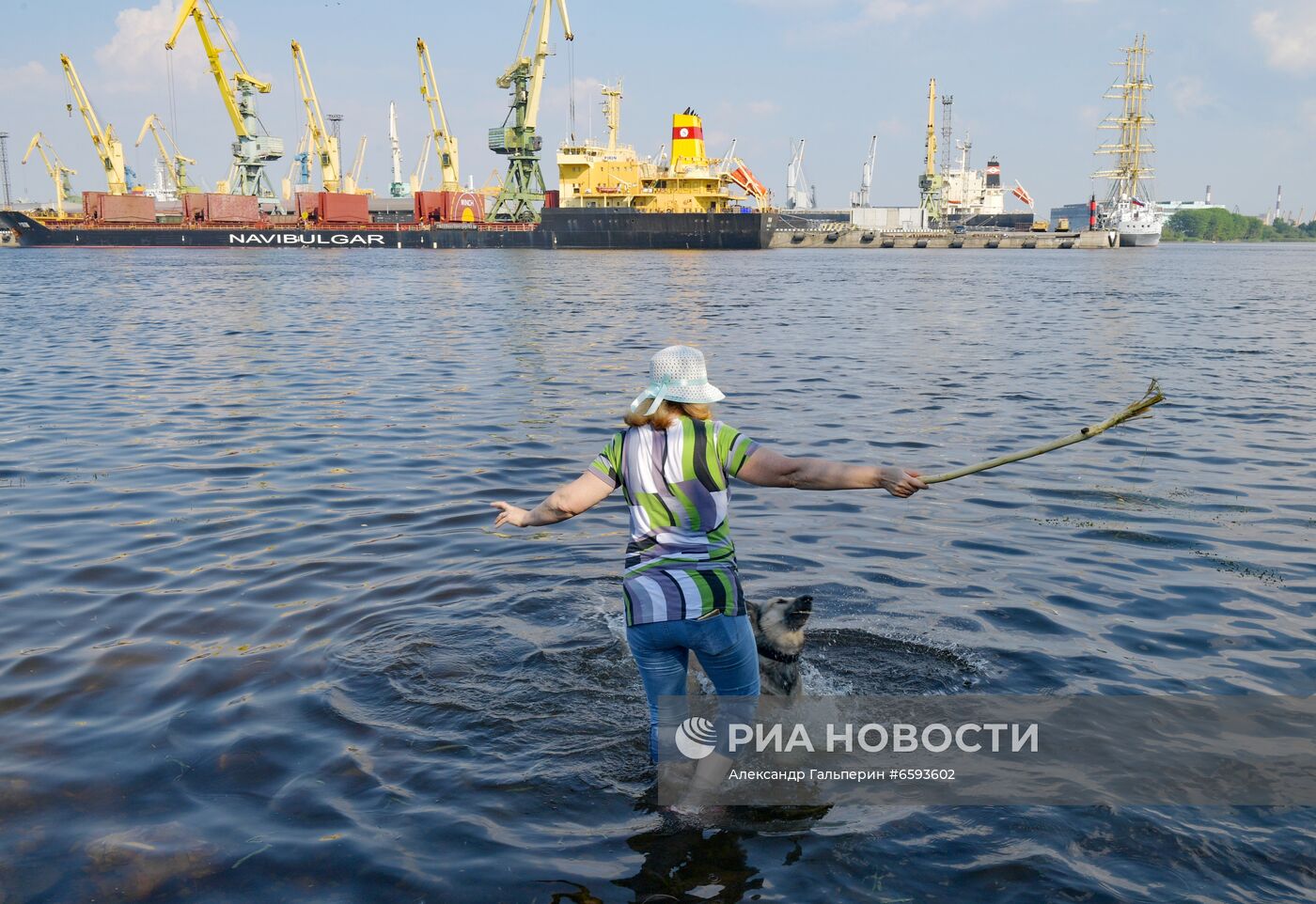 Канонерский остров в Санкт-Петербурге