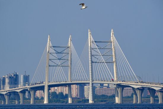 Канонерский остров в Санкт-Петербурге